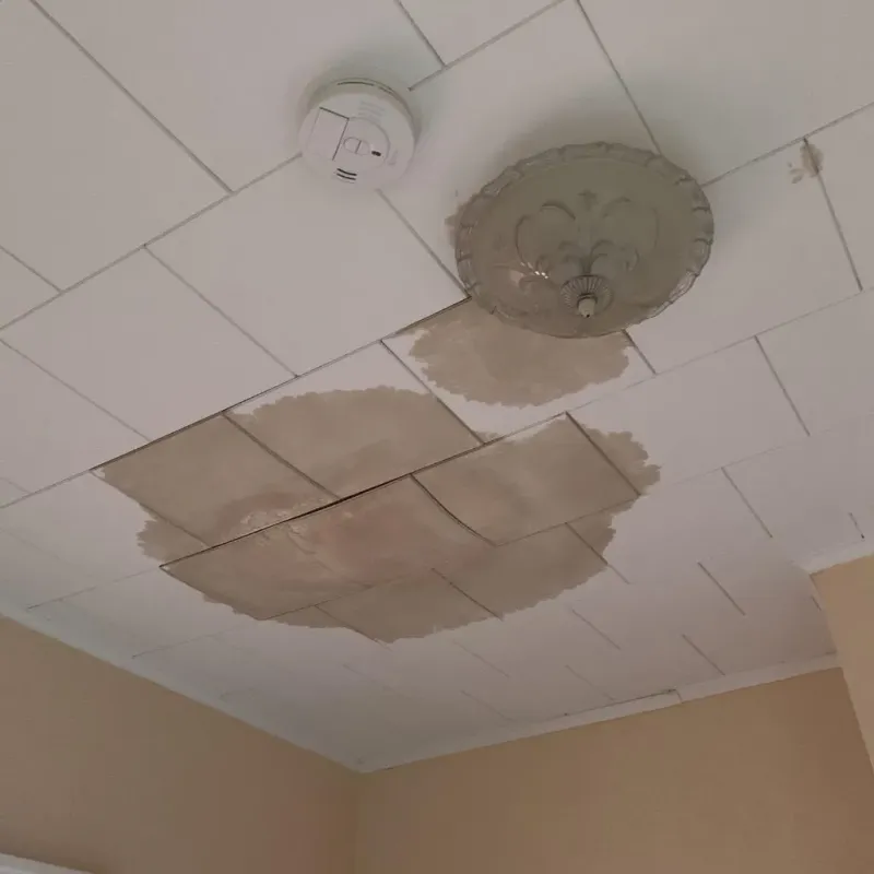 Ceiling Water Damage Repair in Show Low, AZ